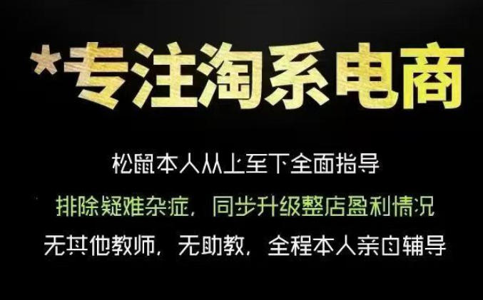 松鼠会电商VIP课程,从基础布局到高阶优化,助你掌握淘宝运营逻辑,提升店铺流量与转化(更新0809)-星辰网创 - 网创副业项目资源站
