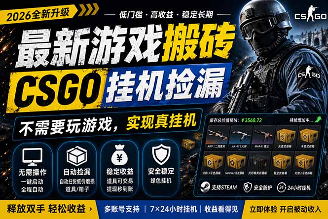 最新游戏搬砖,CSGO纯挂机,不需要玩游戏,实现真挂机,月入1W+,五一小高峰上车可吃肉,…-星辰网创 - 网创副业项目资源站