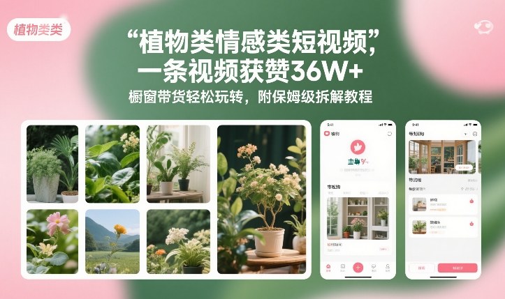 植物类情感类短视频,一条视频获赞36W+,橱窗带货轻松玩转,附保姆级拆解教程-星辰网创 - 网创副业项目资源站