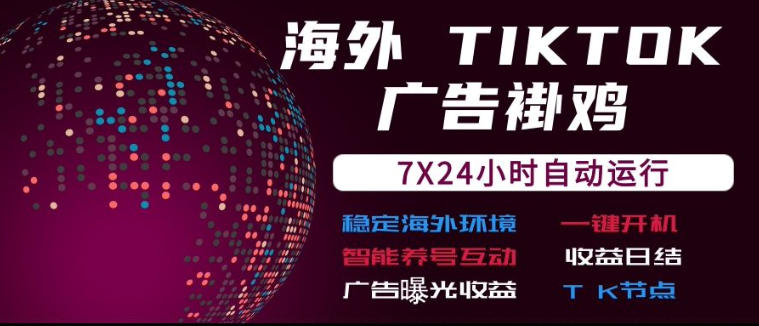 海外TikTok挂G流量变现,7X24自动运行,广告曝光收益,收益日结【揭秘】-星辰网创 - 网创副业项目资源站