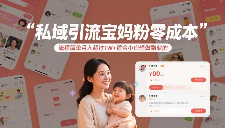 私域引流宝妈粉零成本流程简单月入超过1W+适合小白想做副业的-星辰网创 - 网创副业项目资源站