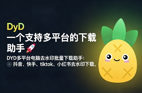 DYD多平台电脑去水印批量下载助手:抖音、快手、tiktok、小红书去水印下载-星辰网创 - 网创副业项目资源站