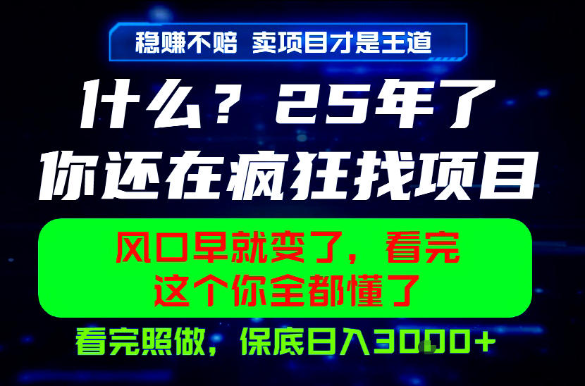 26年,请不要疯狂的找项目做了!卖项目才是真的稳賺不赔,看完照做,保底日入1k+【揭秘】-星辰网创 - 网创副业项目资源站