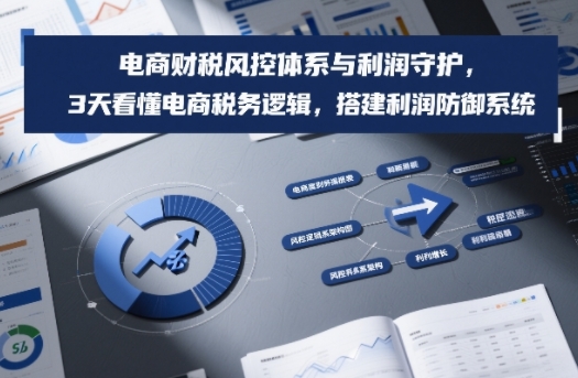 电商财税风控体系与利润守护，3天看懂电商税务逻辑，搭建利润防御系统-星辰网创 - 网创副业项目资源站