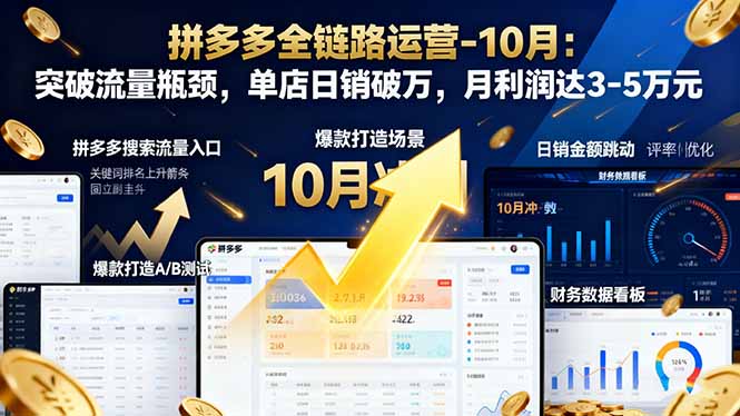 拼多多全链路运营-10月:突破流量瓶颈,单店日销破万,月利润达3-5万元-星辰网创 - 网创副业项目资源站