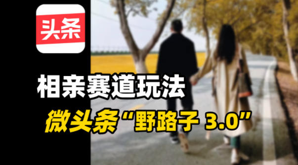 微头条“野路子3.0”相亲赛道玩法，搬砖式操作单号稳定3张 - 星辰网创 - 网创副业项目资源站-星辰网创 - 网创副业项目资源站