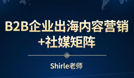 shirle老师·B2B企业出海内容营销+社媒矩阵-星辰网创 - 网创副业项目资源站