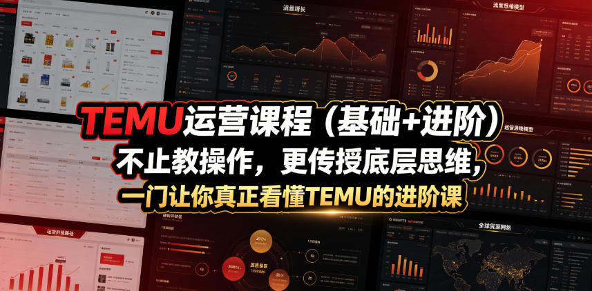 TEMU运营课程(基础+进阶),不止教操作,更传授底层思维,一门让你真正看懂TEMU的进阶课-星辰网创 - 网创副业项目资源站
