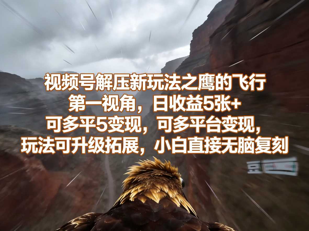 视频号解压新玩法之鹰的飞行第一视角,日收益5张+,可多平台变现,玩法可升级拓展,小白直接无脑复刻
