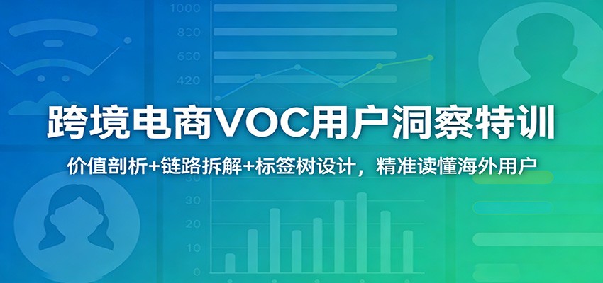 跨境电商VOC用户洞察特训：价值剖析+链路拆解+标签树设计，精准读懂海外用户 - 星辰网创 - 网创副业项目资源站-星辰网创 - 网创副业项目资源站
